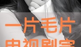 视频毛片,毛片视频的黑暗面与警示